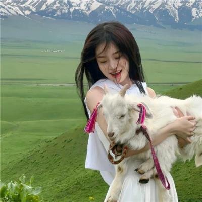 亿万富犬