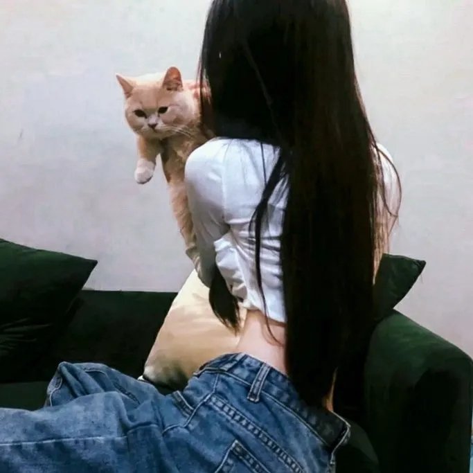 香格里拉